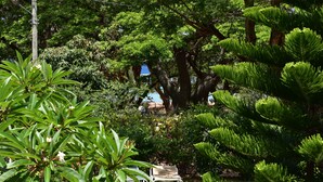 Property grounds - villa Osumare (Flic-en-Flac)