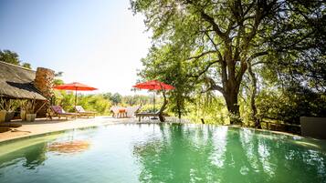 Outdoor pool, pool umbrellas, pool loungers