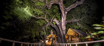 Toro River Lodges Big 5 Exclusive Safari