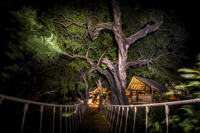 Toro River Lodges Big 5 Exclusive Safari