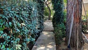 Un sendero que atraviesa un jardín con un árbol grande y un seto a un lado.
