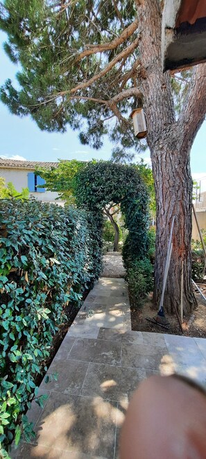 Terrace/patio - Le colibri bleu (Argeliers)