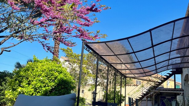 Un espacio al aire libre cubierto con un sillón, una pérgola y un árbol de flores rosadas.