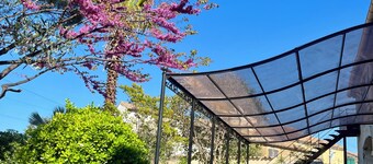 Le colibri bleu