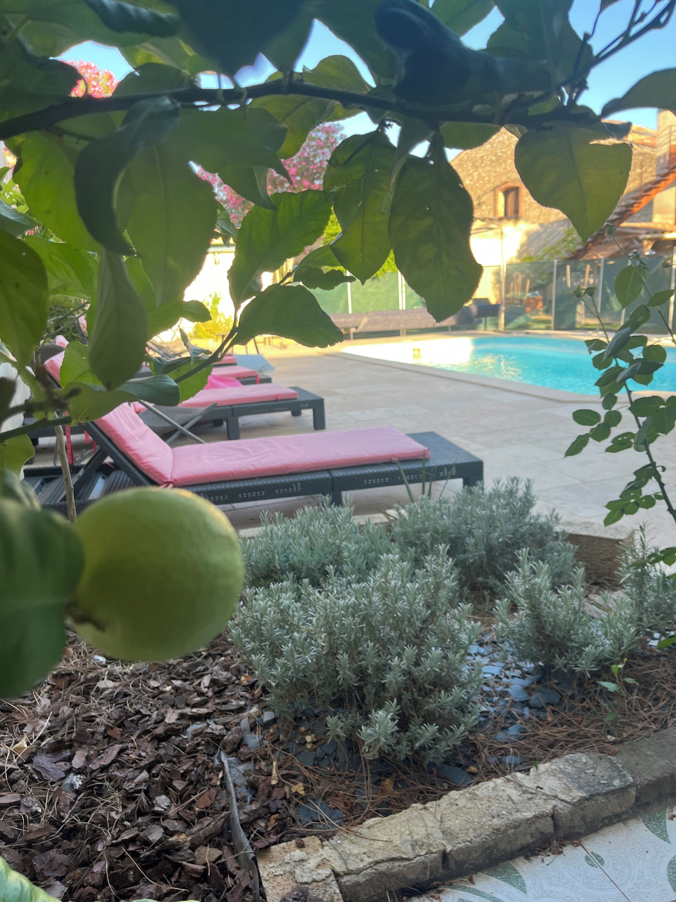 Una piscina al aire libre de temporada (de 09:30 a 21:30), sombrillas