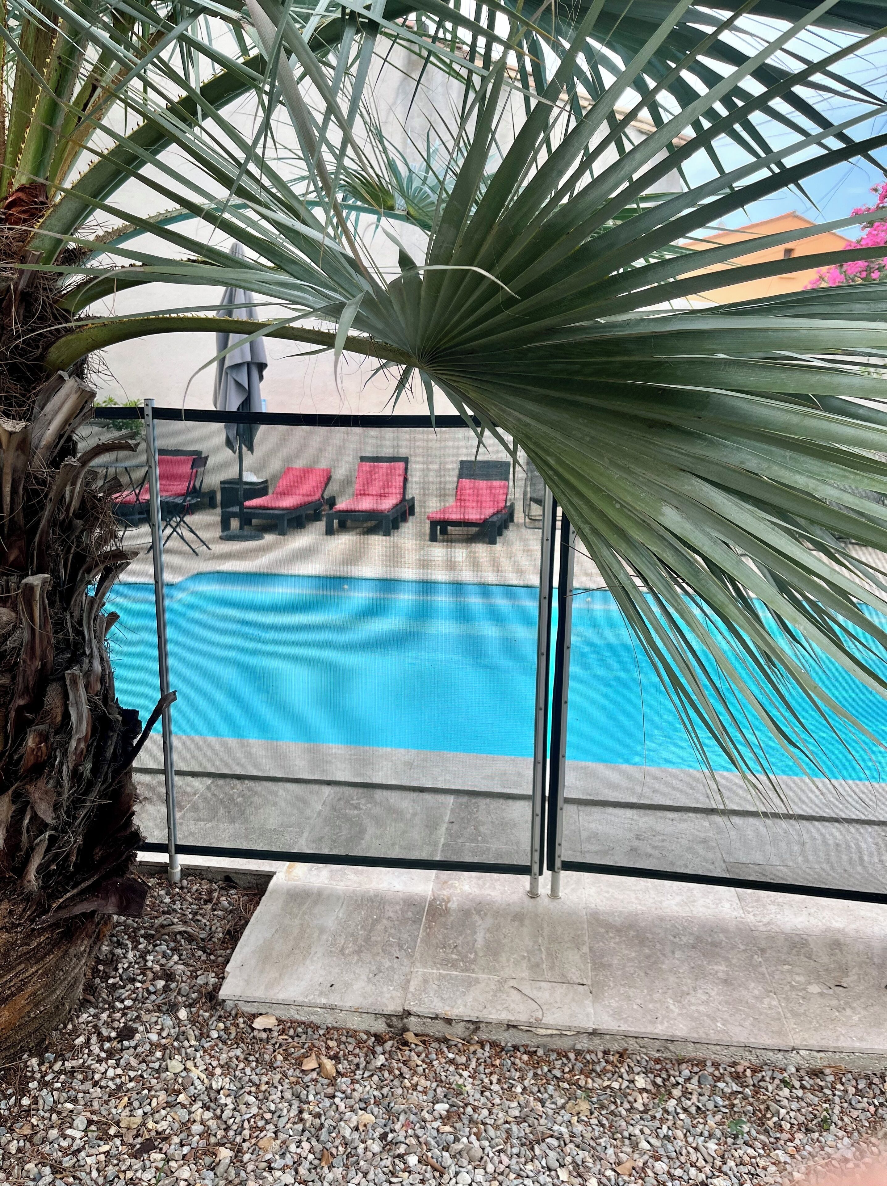 A pool area with a glass barrier, red lounge chairs, and a palm tree.