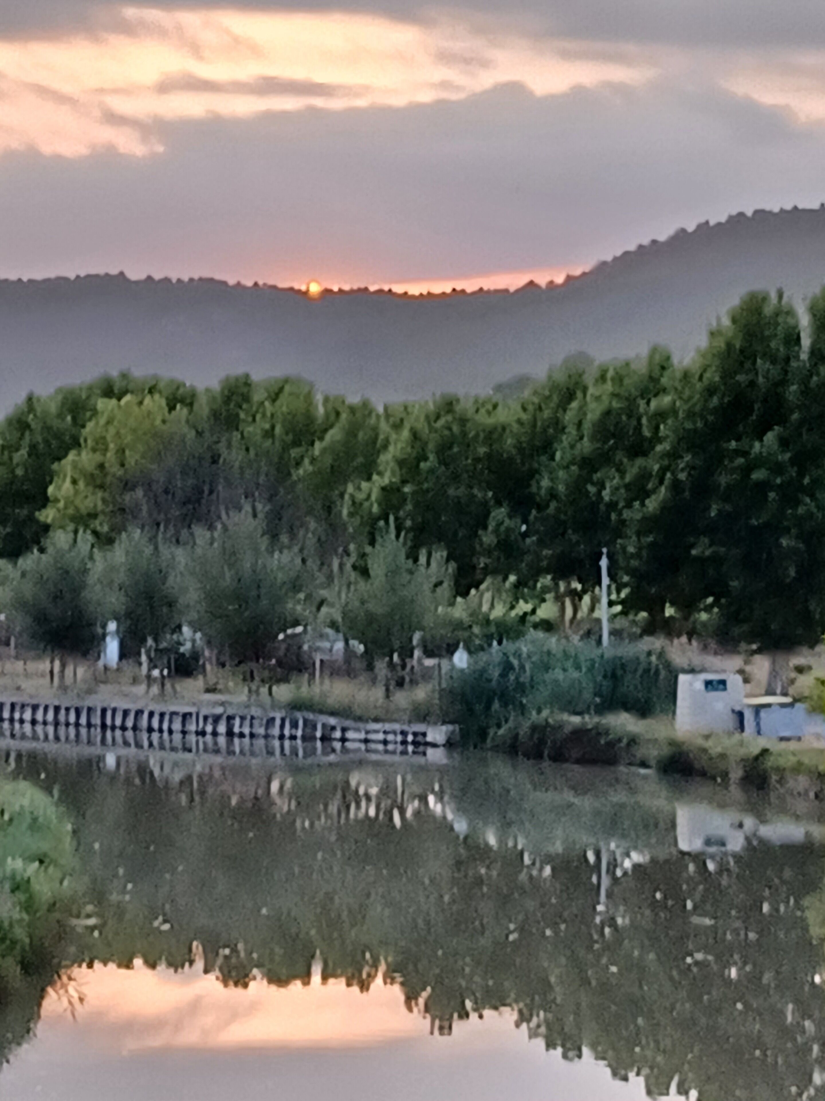 A serene landscape with a body of water reflecting the sky, surrounded by dense greenery and a distant hill.