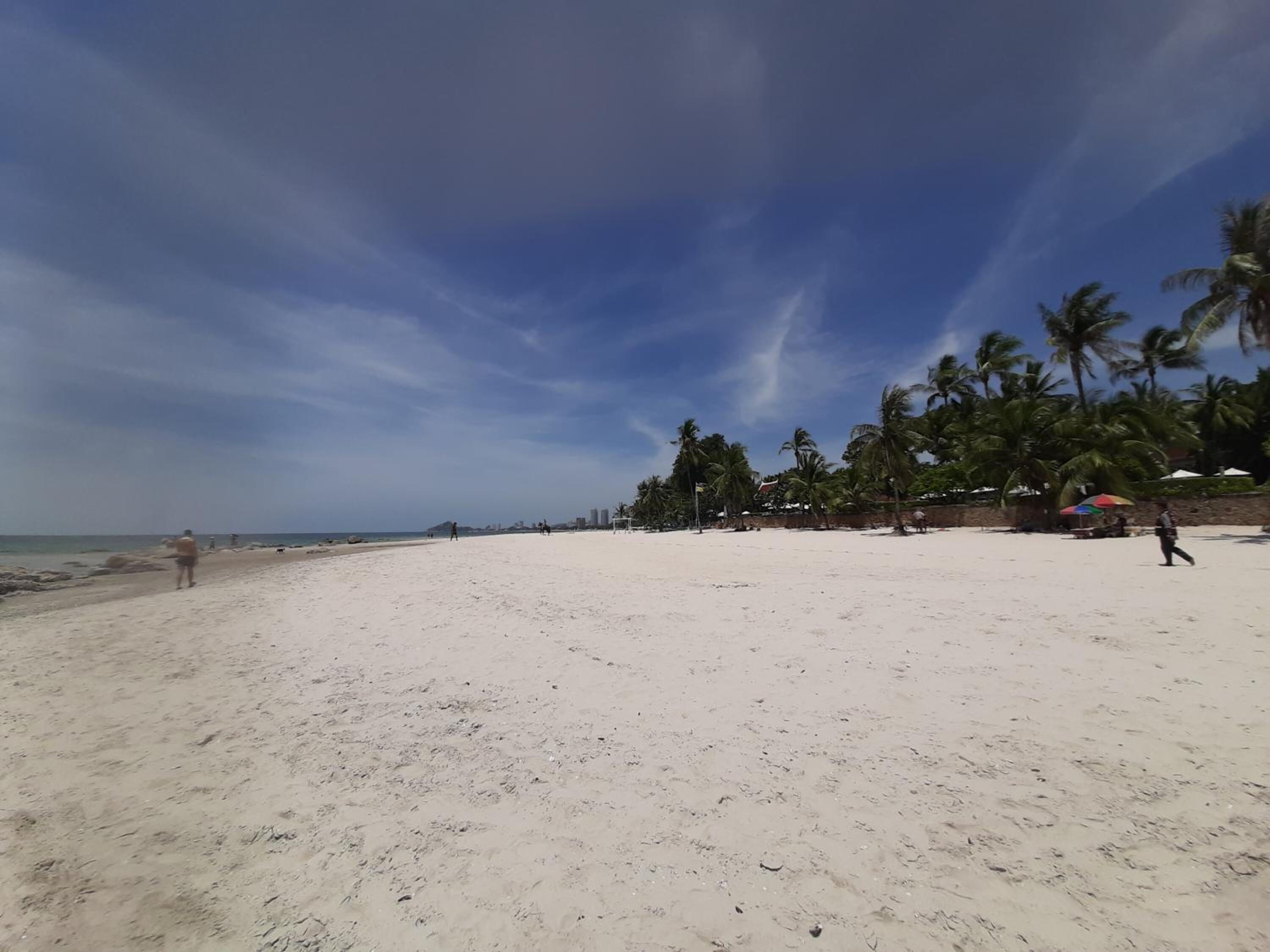 Una playa con palmeras y cielo despejado.
