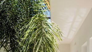 Un espacio interior moderno con una palmera, una persona sosteniendo una bandeja y un diseño minimalista.
