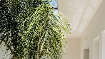 Detalle interior