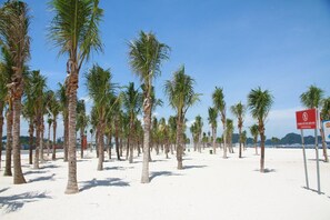 A beach with palm trees and a sign indicating a beach area. - The Marine Hotel (Bai Chay)