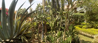 Cielo Country Inn