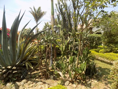 Cielo Country Inn