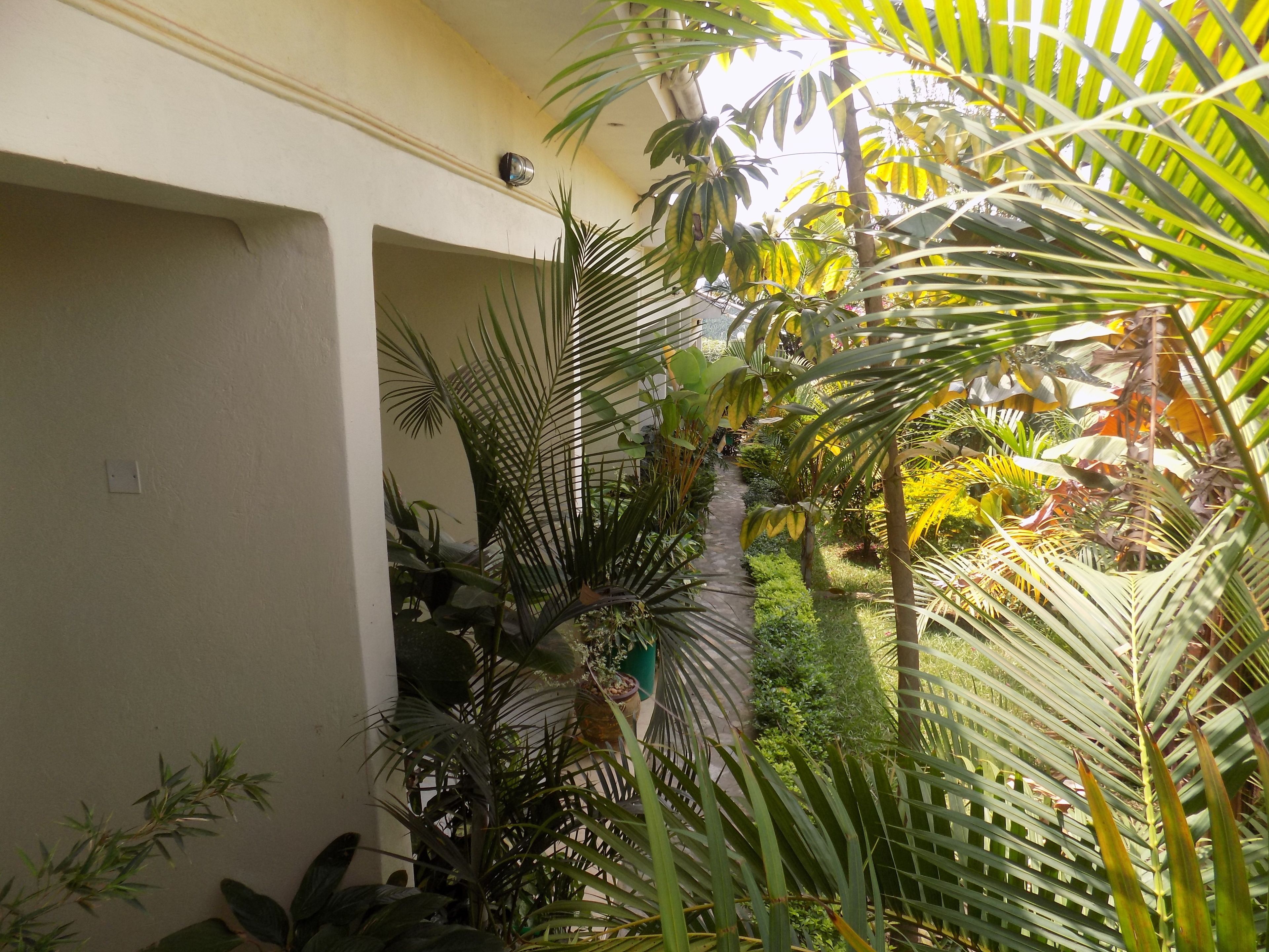 A narrow pathway surrounded by lush tropical plants, leading to a doorway.