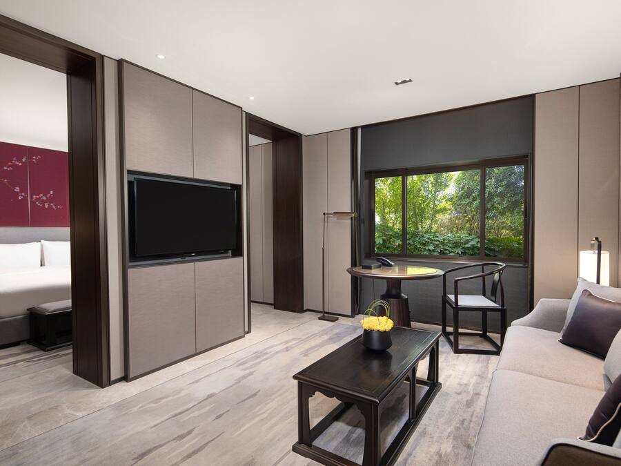 A modern living room with a sofa, a coffee table, a TV, and a window with a view of greenery.