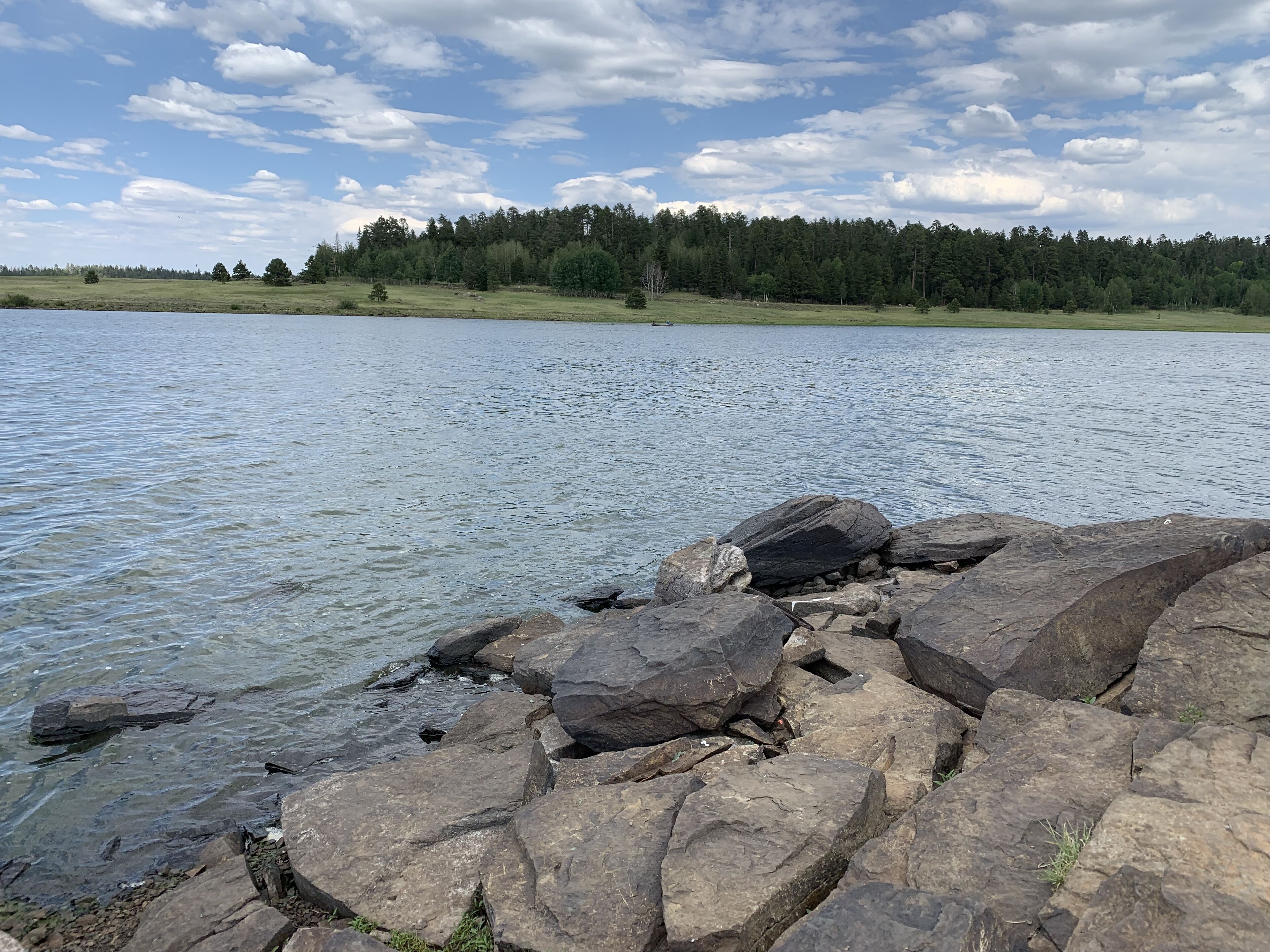 Une côte rocheuse bordant un lac paisible, avec une forêt en arrière-plan.