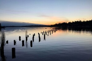 A calm lake with wooden posts extending into the water, surrounded by a forested shoreline. - 2 Mi to St Edward State Park: Ground-Level Studio (Kenmore)