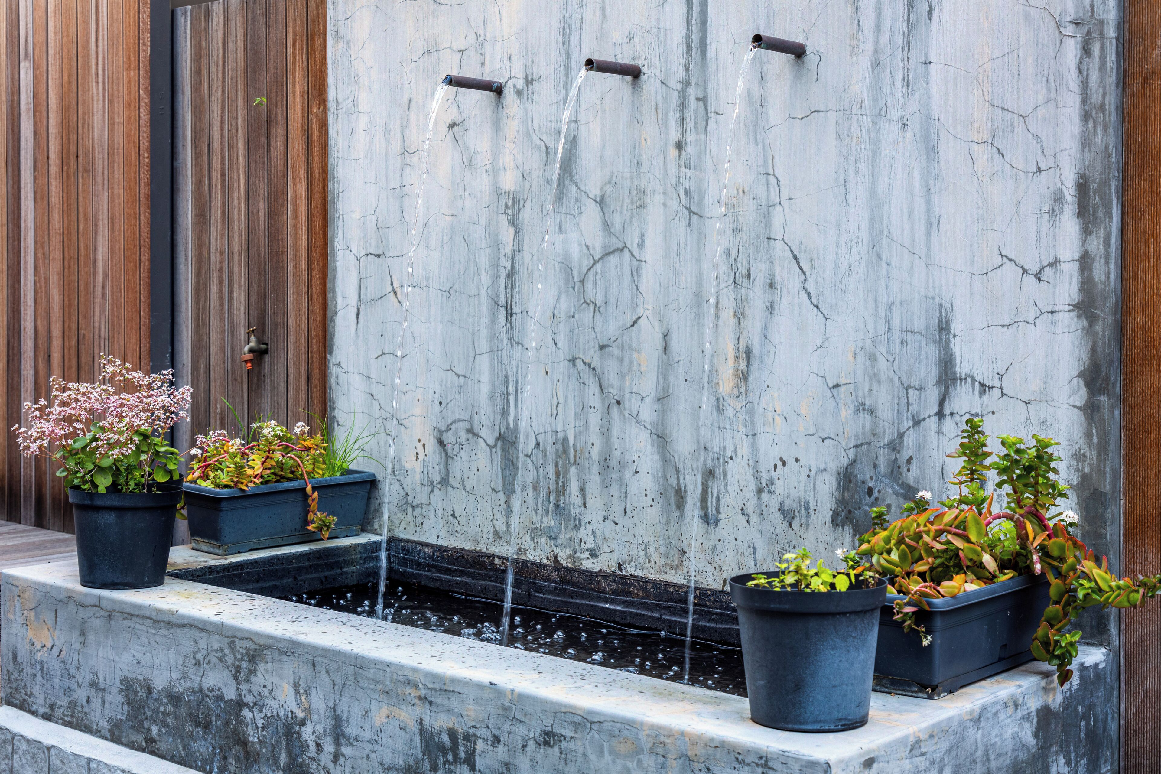 Foto - Old Bank Hotel - Lion Roars Hotels & Lodges