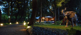 The House in the Magic Wood