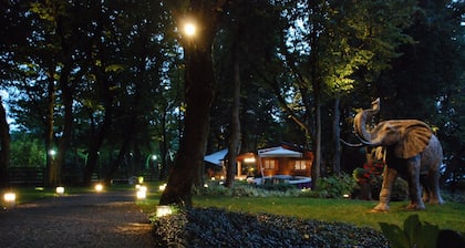 The House in the Magic Wood