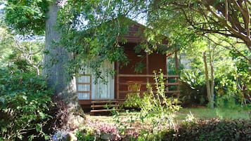 Cabin (7) | Ruang kerja komputer riba, Wi-fi percuma, cadar katil