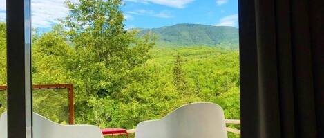 1 dormitorio, edredones de plumas, caja fuerte y escritorio