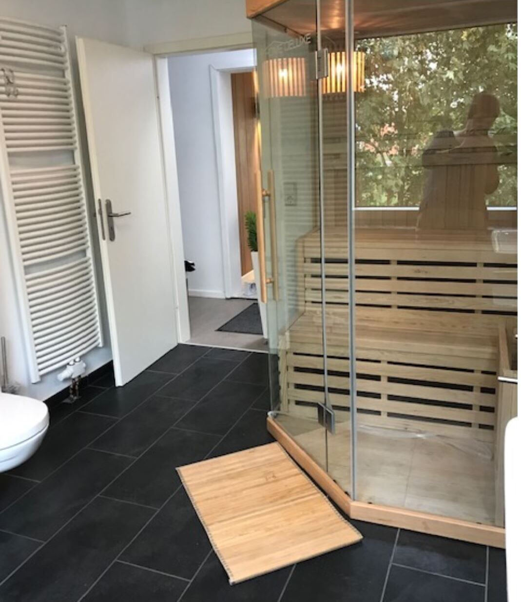 Bathtub, hair dryer, toilet paper