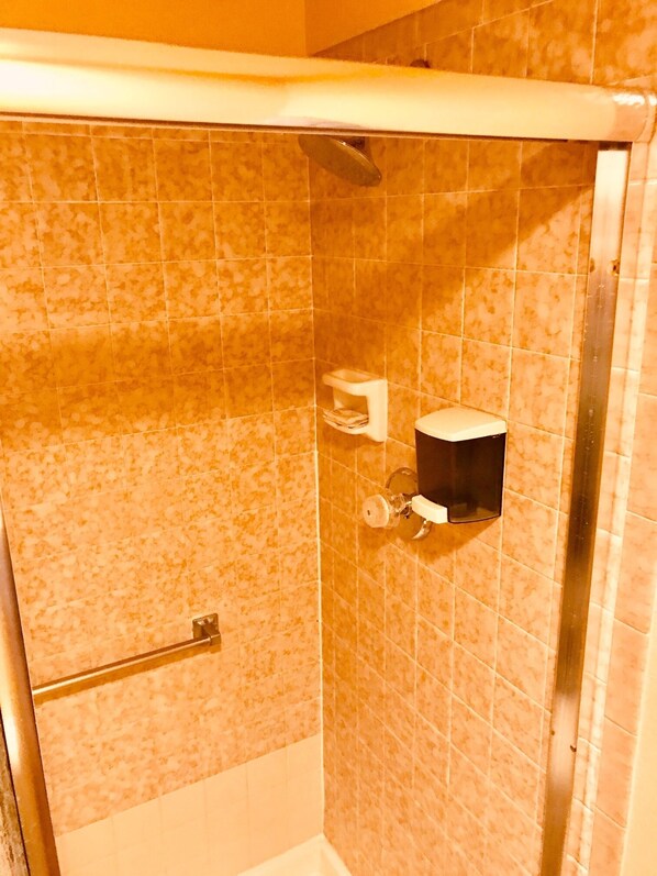Un espace douche doté d’une porte en verre, d’un porte-serviettes et d’un support à papier toilette fixé au mur.