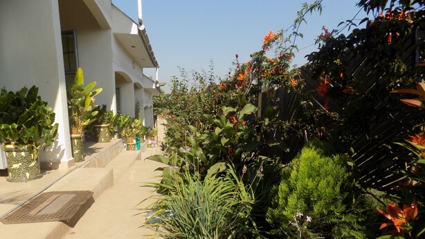 A pathway leading to a building with a white exterior and multiple potted plants along the sides. - Deluxe Hotel - Ishaka (Ishaka)