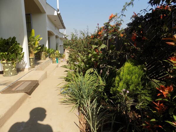 Property grounds - Deluxe Hotel - Ishaka (Ishaka)