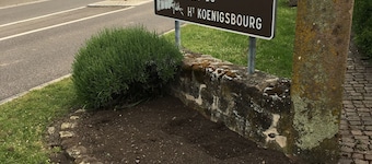 Stuga 5 personer i hjÀrtat av Alsace Center vinrutt