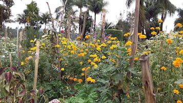 Jardín
