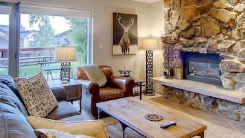 智能电视、壁炉、DVD 播放器、书