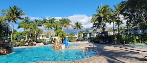 Piscine extérieure, piscine chauffée