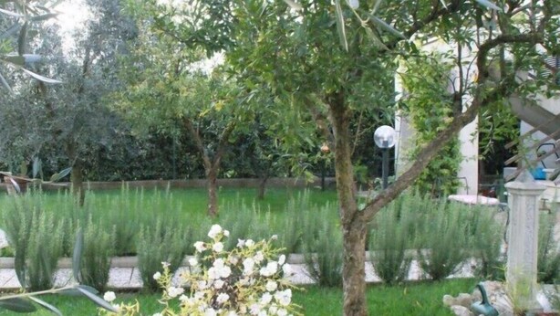 Ein Garten mit verschiedenen Pflanzen, einem Kiesweg und einem kleinen Teich.