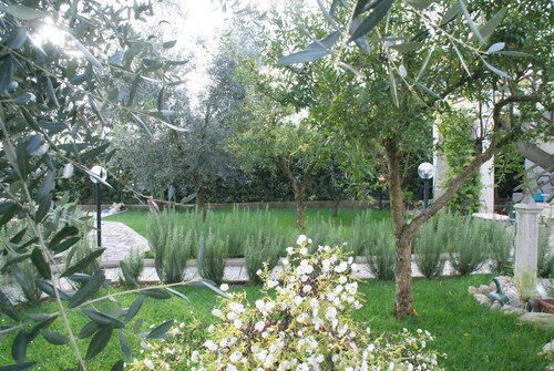 Bed & Breakfast Degli Ulivi