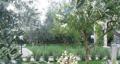 Bed & Breakfast Degli Ulivi