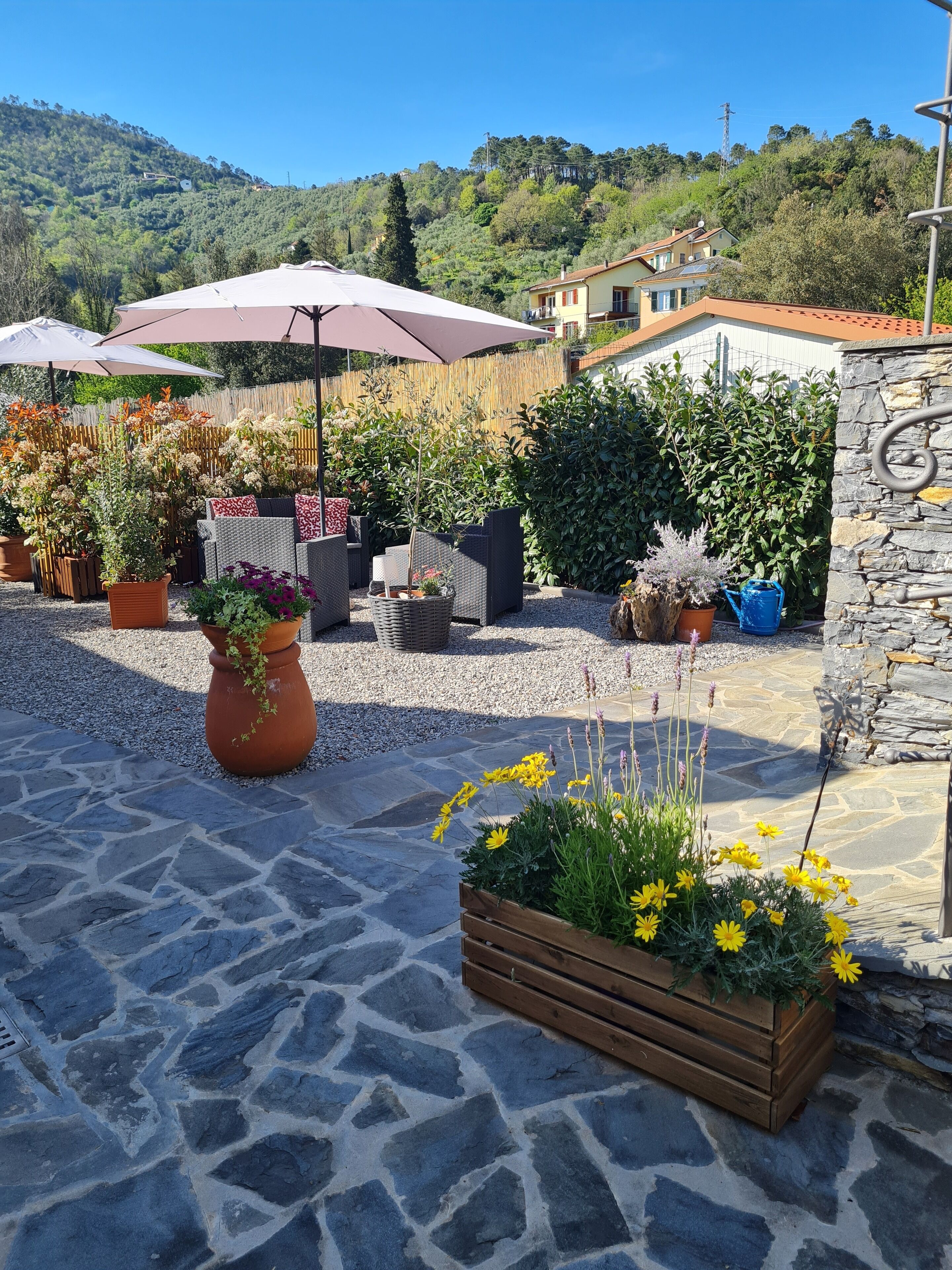 Parco della struttura