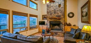 Télévision, cheminée, espaces bureaux