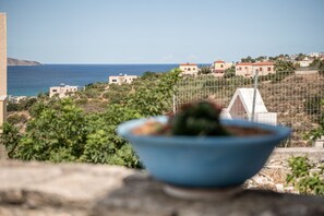 Property amenity - Kritiko Arhontiko (Apokoronas)