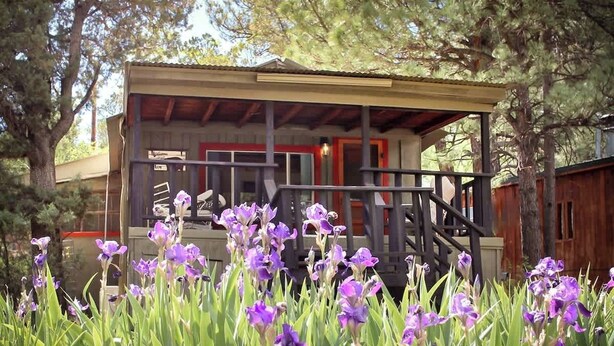 Une cabane en bois dotée d’un porche, entourée de grands arbres et de fleurs violettes.