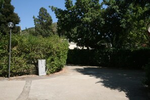 A paved driveway leading to a building surrounded by dense greenery.