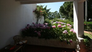 Un espace extérieur abrité, avec un mur blanc, une chaise et un jardinier contenant des fleurs roses.
