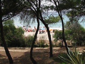 Vista da propriedade