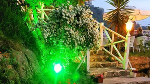 Un chemin de pierres mène à un espace aménagé avec des sièges, un jardin illuminé de lumière verte et des plantes en pot.