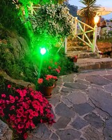A stone pathway leading to a seating area with a green-lit garden and potted plants.
