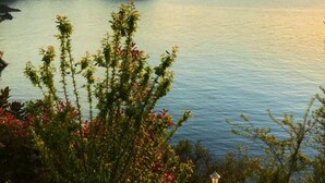 Une vue sur la côte, avec un balcon donnant sur la mer, un navire au loin et une côte rocheuse.