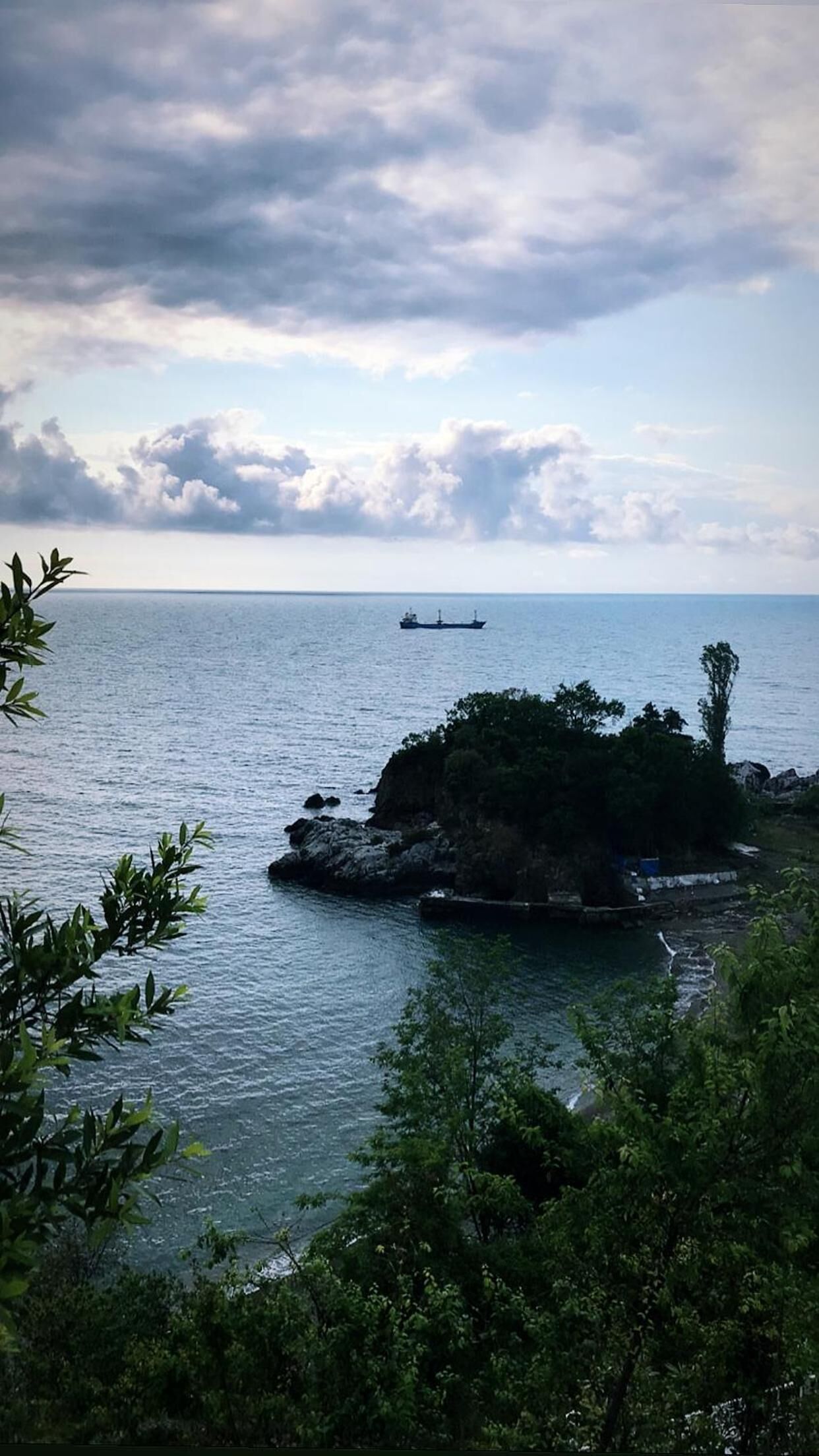 A coastal landscape with a ship in the distance, rocky outcrops, and dense greenery.