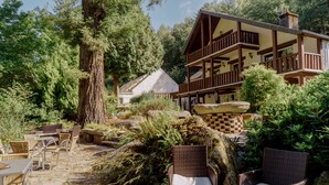 A rustic lodge with outdoor seating, surrounded by dense forest.