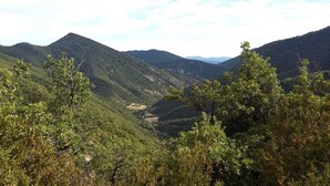 A mountainous landscape with dense forest and a valley. - le Temps des Cerises (Vinsobres)